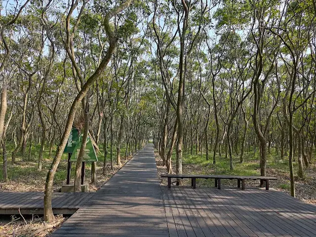 溪州公園森林區 - 「芬多精步道」二號 - 休憩平台