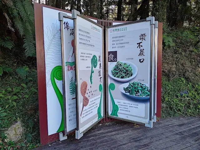 杉林溪森林生態渡假園區 - 青龍蕨類步道 - 導覽書