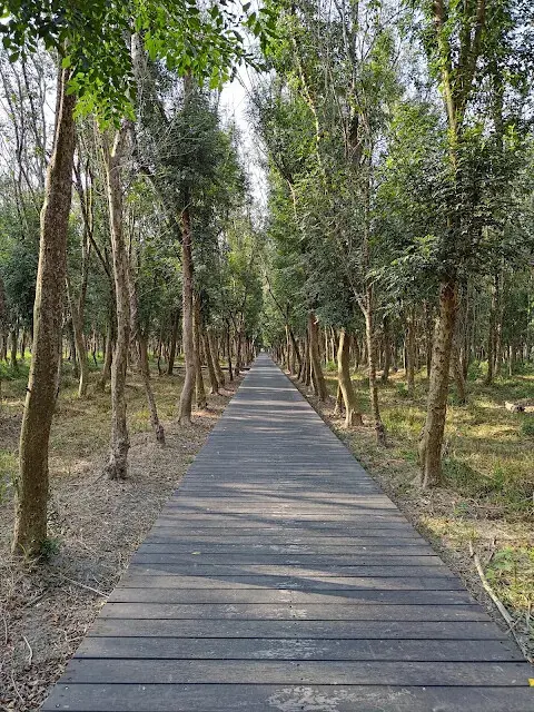 溪州公園森林區 - 「芬多精步道」主線