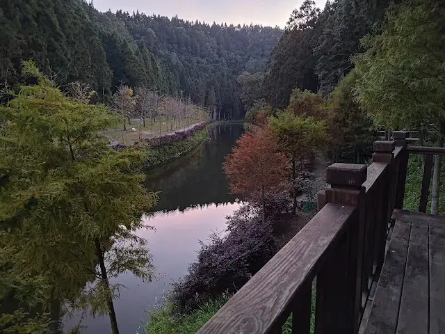 杉林溪森林生態渡假園區 - 石井磯步道 - 楓葉