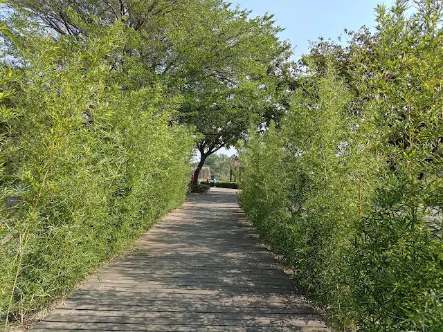 溪州公園 - 綠意湖