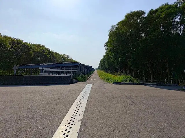 溪州公園森林區 - 自行車道