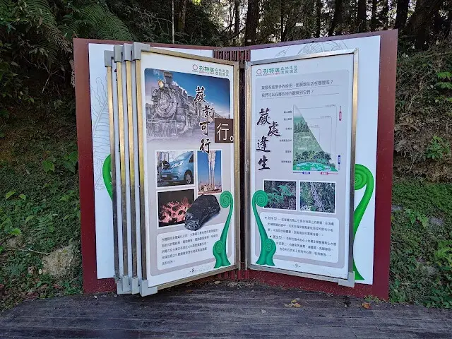 杉林溪森林生態渡假園區 - 青龍蕨類步道 - 導覽書