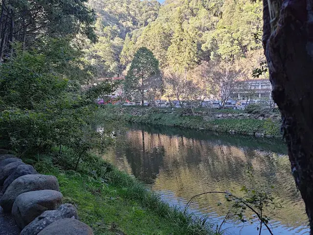 杉林溪森林生態渡假園區 - 青龍蕨類步道