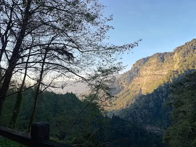 杉林溪森林生態渡假園區 - 青龍蕨類步道