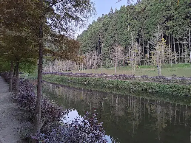 杉林溪森林生態渡假園區 - 石井磯步道 - 銀杏湖