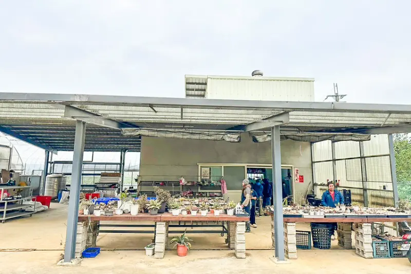 LINE_ALBUM_20241215_241216_51