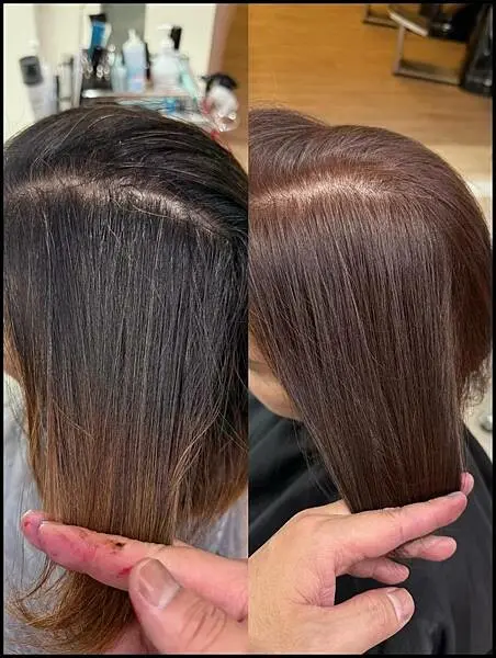 台中寵物友善髮廊｜台中染髮｜台中剪髮 推薦【VS.hair】