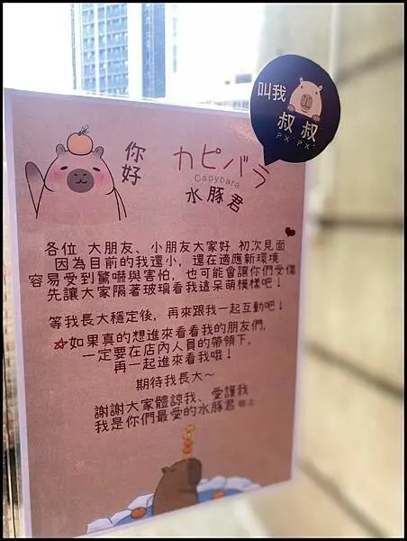 台中寵物友善髮廊｜台中染髮｜台中剪髮 推薦【VS.hair】