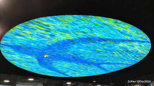 Hi-Life Convenience store Hsinchu river branch store with Jimmy painting theme store,  新竹 Hi-life 護城河畔幾米主題店 by SJKen , Dec 20, 2024.