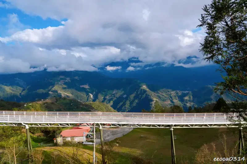 南投旅遊「清境農場」，青青草原綿羊秀時間、門票資訊，親近與餵