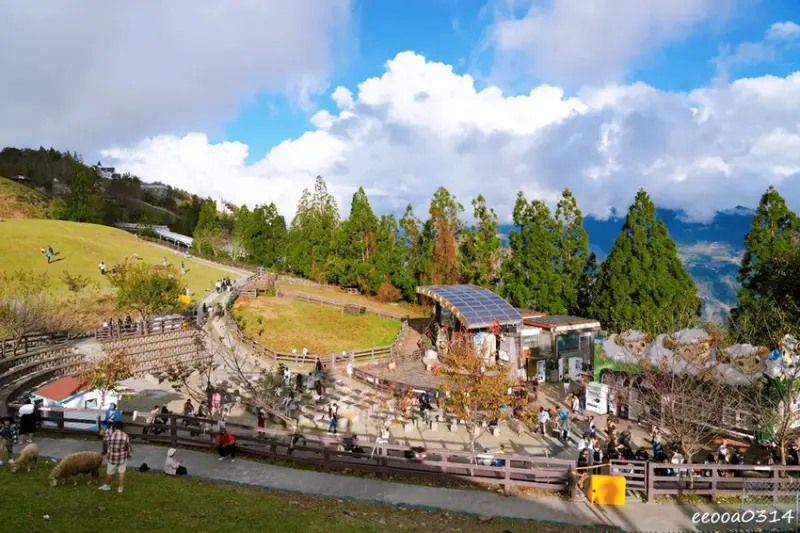 南投旅遊「清境農場」，青青草原綿羊秀時間、門票資訊，親近與餵