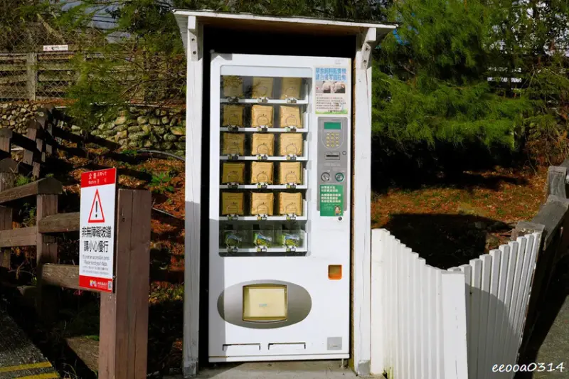 南投旅遊「清境農場」，青青草原綿羊秀時間、門票資訊，親近與餵