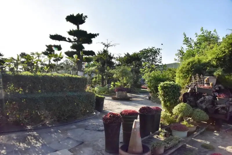 彰化埔鹽鄉｜姥姥不老茶文創園區