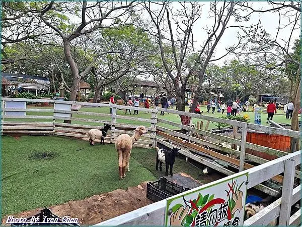 《桃園觀音休閒農場餐廳》跟著楊梅社大薩克斯風團班歡度聖誕節