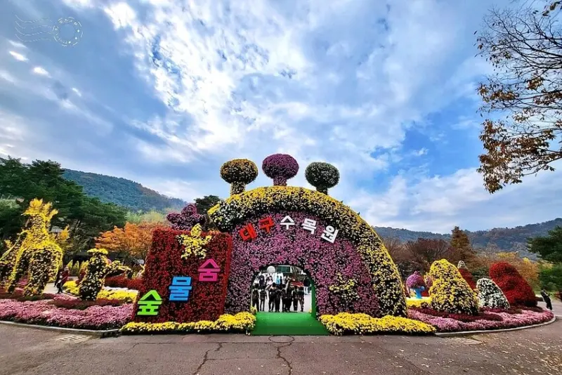 韓國【大邱樹木園】:菊花節