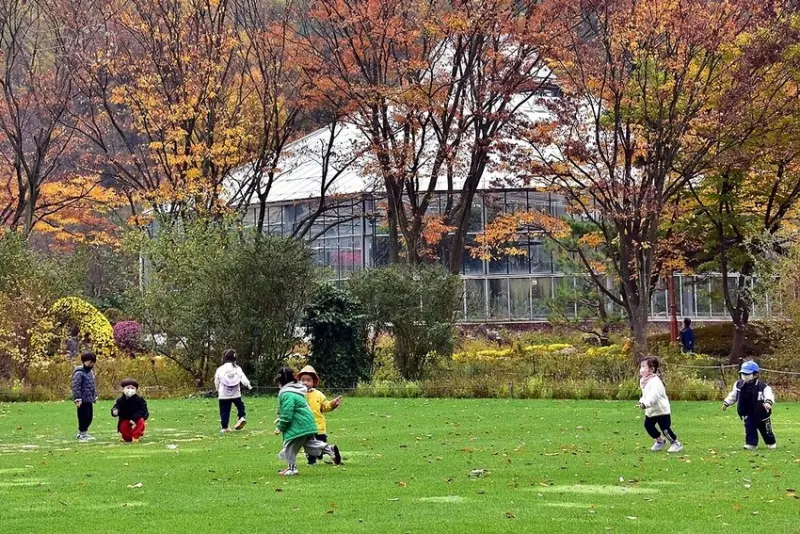 韓國【大邱樹木園】