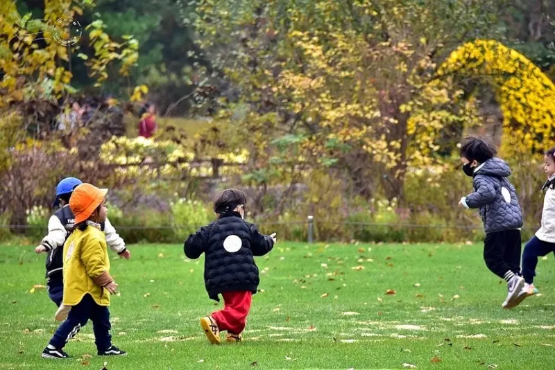 韓國【大邱樹木園】