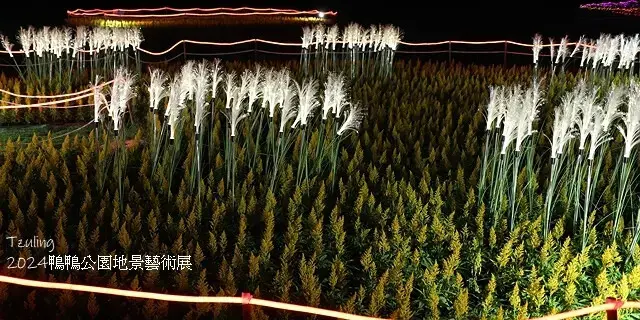 2024鴨鴨公園地景藝術展、花繪三重奏🌸，活動日期：2024