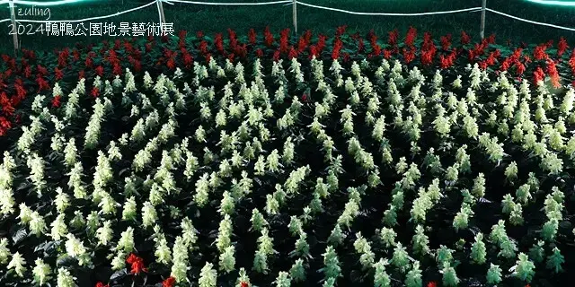 2024鴨鴨公園地景藝術展、花繪三重奏🌸，活動日期：2024