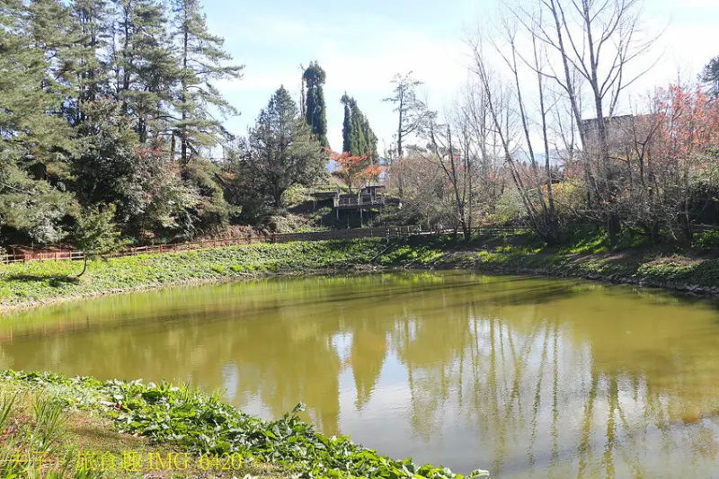 福壽山農場 國民賓館 嶄新設備 舒適大進化