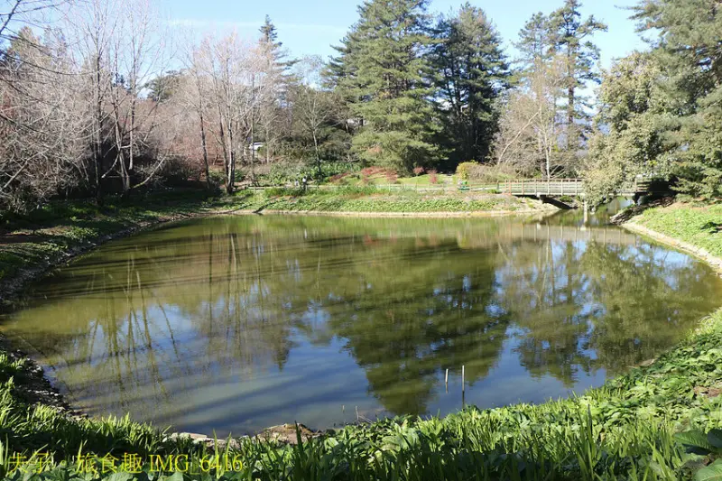 福壽山農場 國民賓館 嶄新設備 舒適大進化