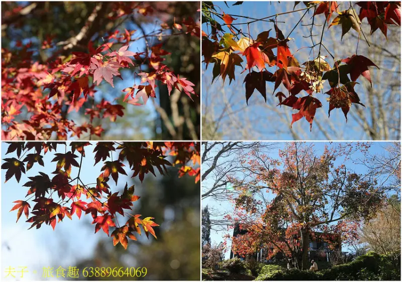 福壽山農場 國民賓館 嶄新設備 舒適大進化