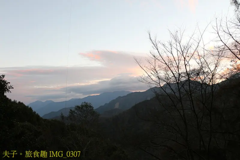 阿里山公路 鹿林神木 台灣排名第二的大神木