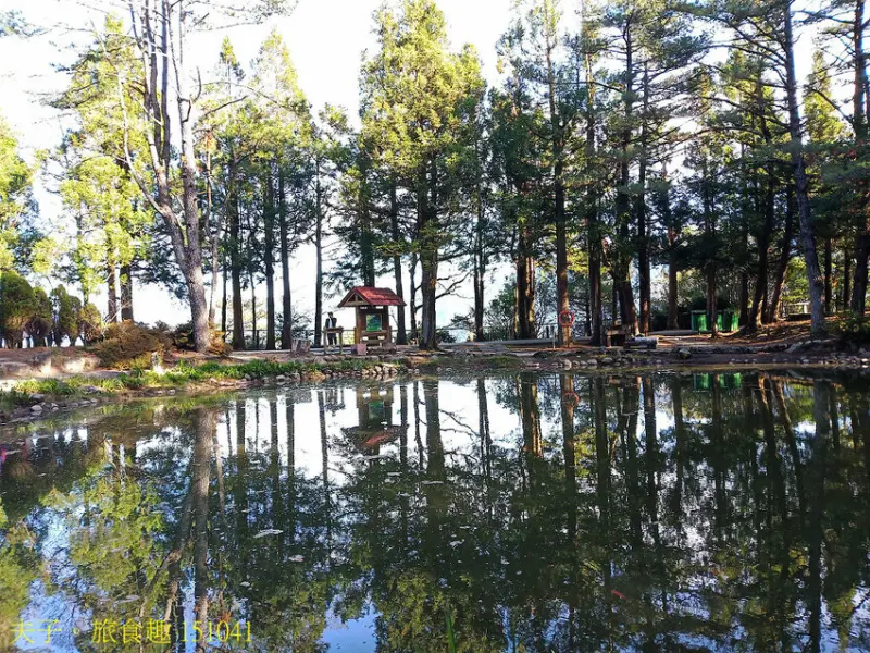 福壽山農場 國民賓館 嶄新設備 舒適大進化