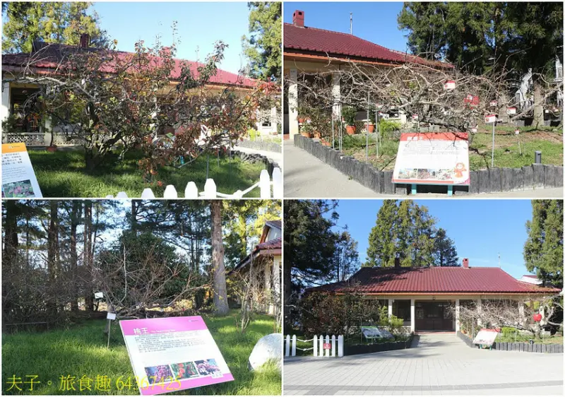 福壽山農場 國民賓館 嶄新設備 舒適大進化