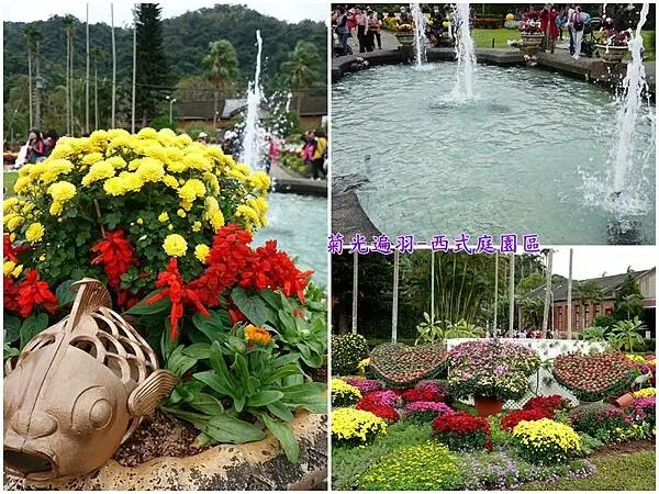 菊光遍羽西式庭園區-2024士林官邸菊展 (5).jpg