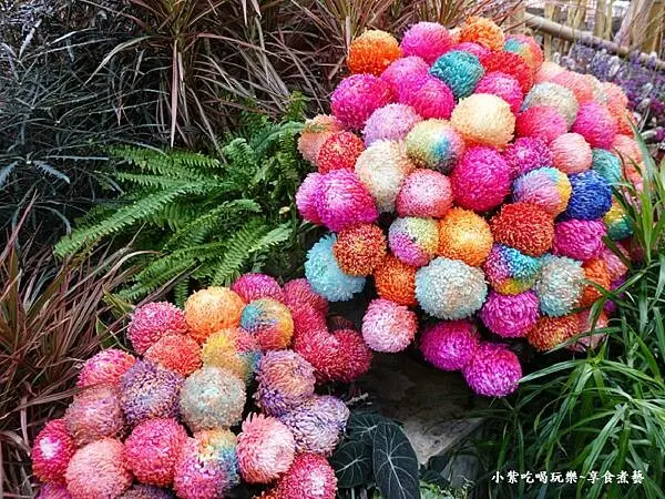 東方動物園新蘭亭-2024士林官邸菊展 (4).jpg