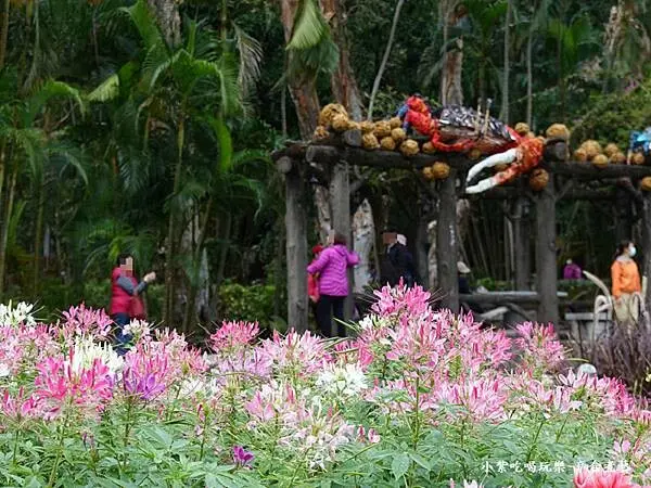 海漾星空主題園區-2024士林官邸菊展 (9).jpg