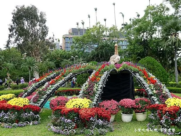 菊光遍羽西式庭園區-2024士林官邸菊展 (2).jpg