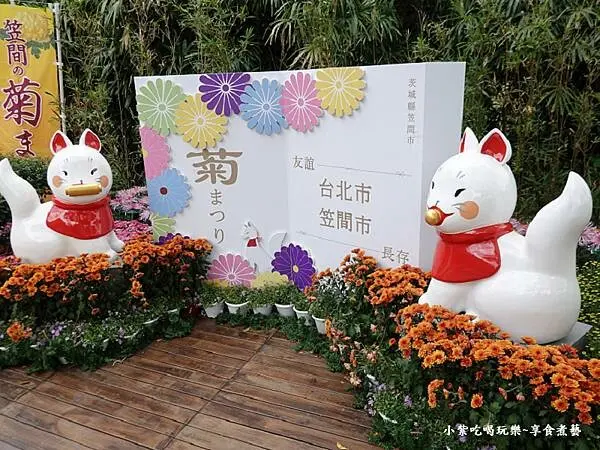 狐朋引伴-2024士林官邸菊展 (3).jpg