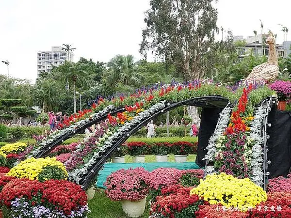 菊光遍羽西式庭園區-2024士林官邸菊展 (3).jpg