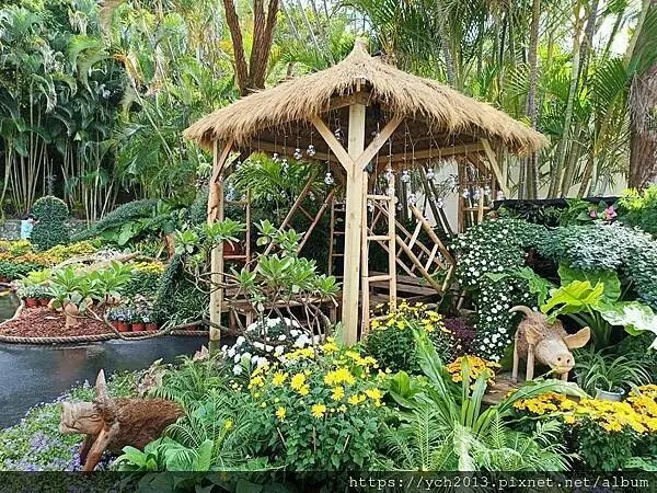 2024士林官邸菊展－菊伴動物派對／全區延長開放到晚上九點，