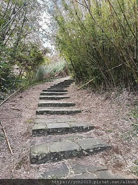 北投陽明山登山步道／中正山步道，中正山停車場至第一登山口，觀
