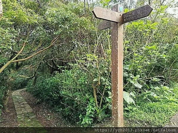 北投陽明山登山步道／中正山步道，中正山停車場至第一登山口，觀