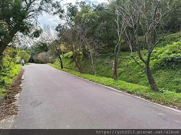 北投陽明山登山步道／中正山步道，中正山停車場至第一登山口，觀