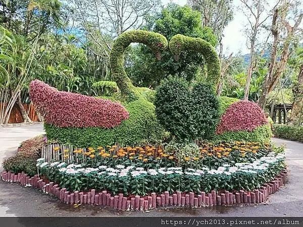 2024士林官邸菊展－菊伴動物派對／全區延長開放到晚上九點，