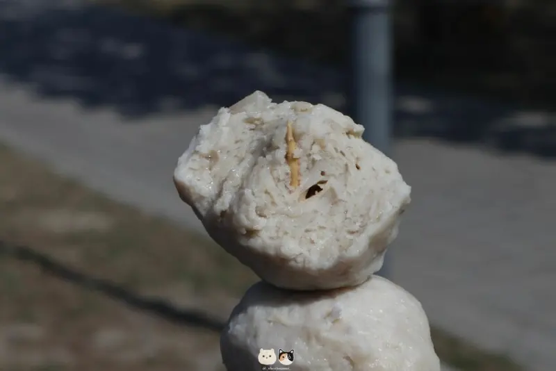 嘉義布袋｜旅遊景點｜布袋漁港觀光魚市．嘉義海線一日遊推薦行程