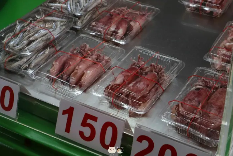 嘉義布袋｜旅遊景點｜布袋漁港觀光魚市．嘉義海線一日遊推薦行程