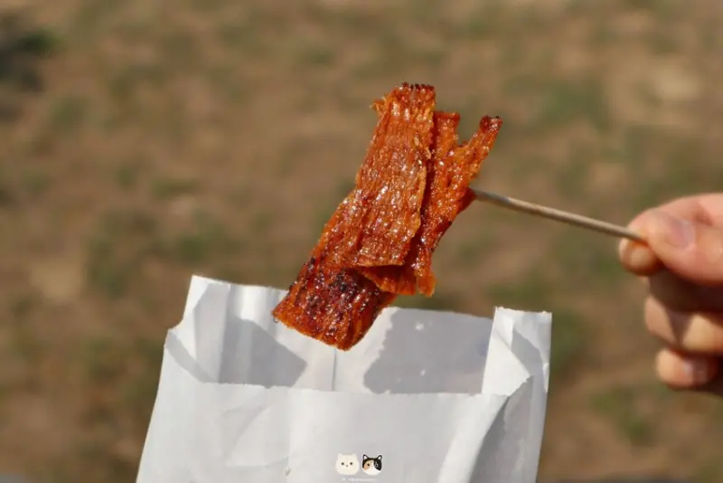 嘉義布袋｜旅遊景點｜布袋漁港觀光魚市．嘉義海線一日遊推薦行程