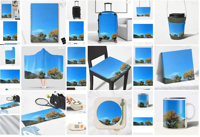 大漠國渡 - 商品小舖 (KUSDOM)