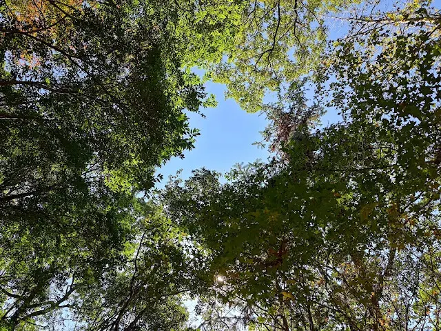 拱北殿 - 後山步道