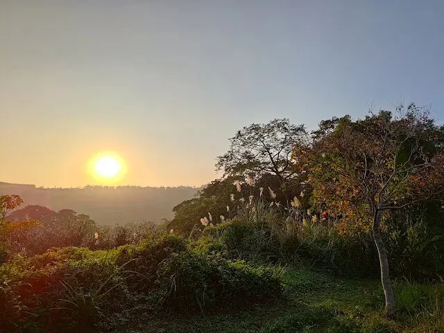 東森山林步道 - 夕陽