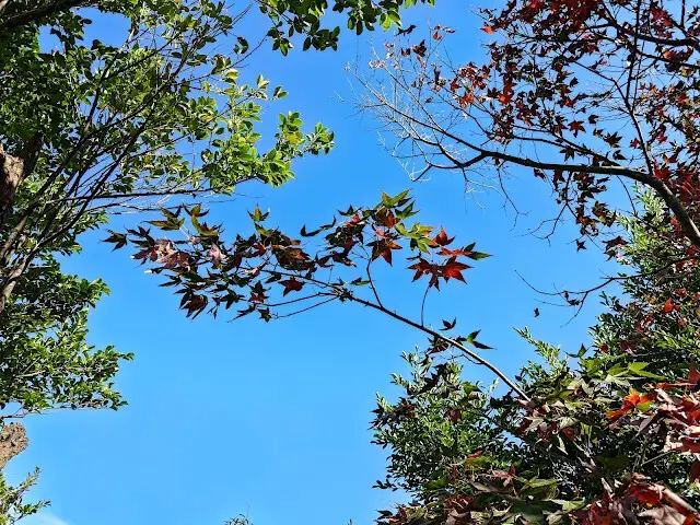 拱北殿 - 後山步道