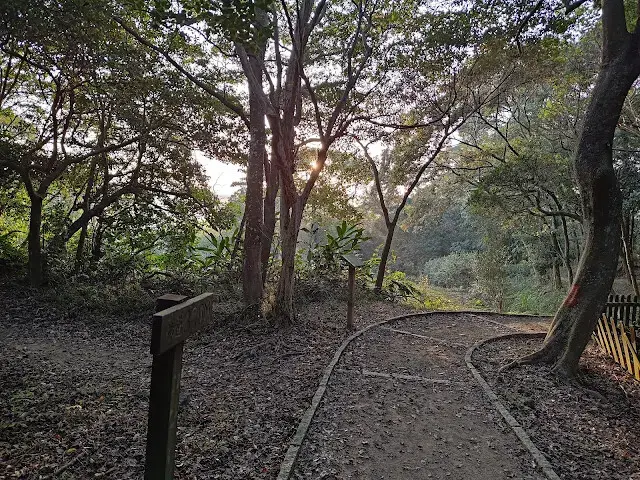東森山林步道 - 夕陽