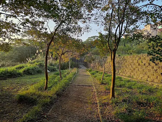 東森山林步道 - 夕陽